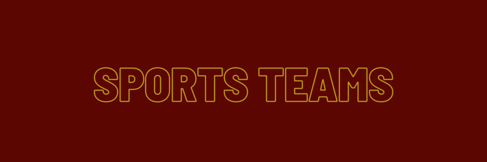 Sports teams banner